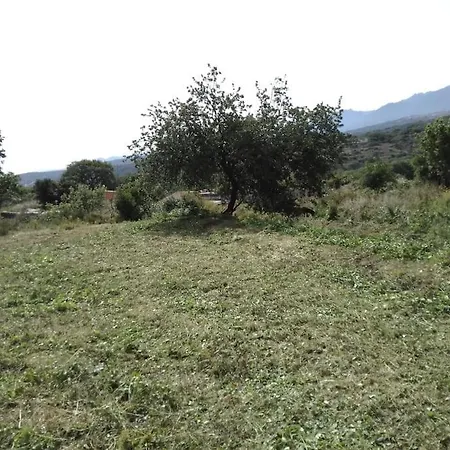 Tra I Ciliegi Di Gallura-Country House Con Piscina * Aggius