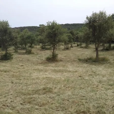 Casa Immersa Nella Campagna Aggius