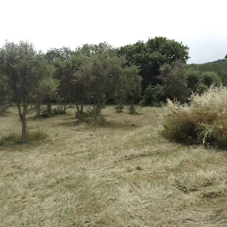 בית נופש Casa Immersa Nella Campagna *